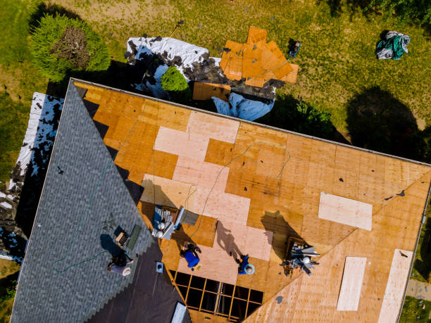 Best Roof Gutter Cleaning  in South Park, WY